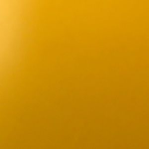 Meet your Posher, Trinity